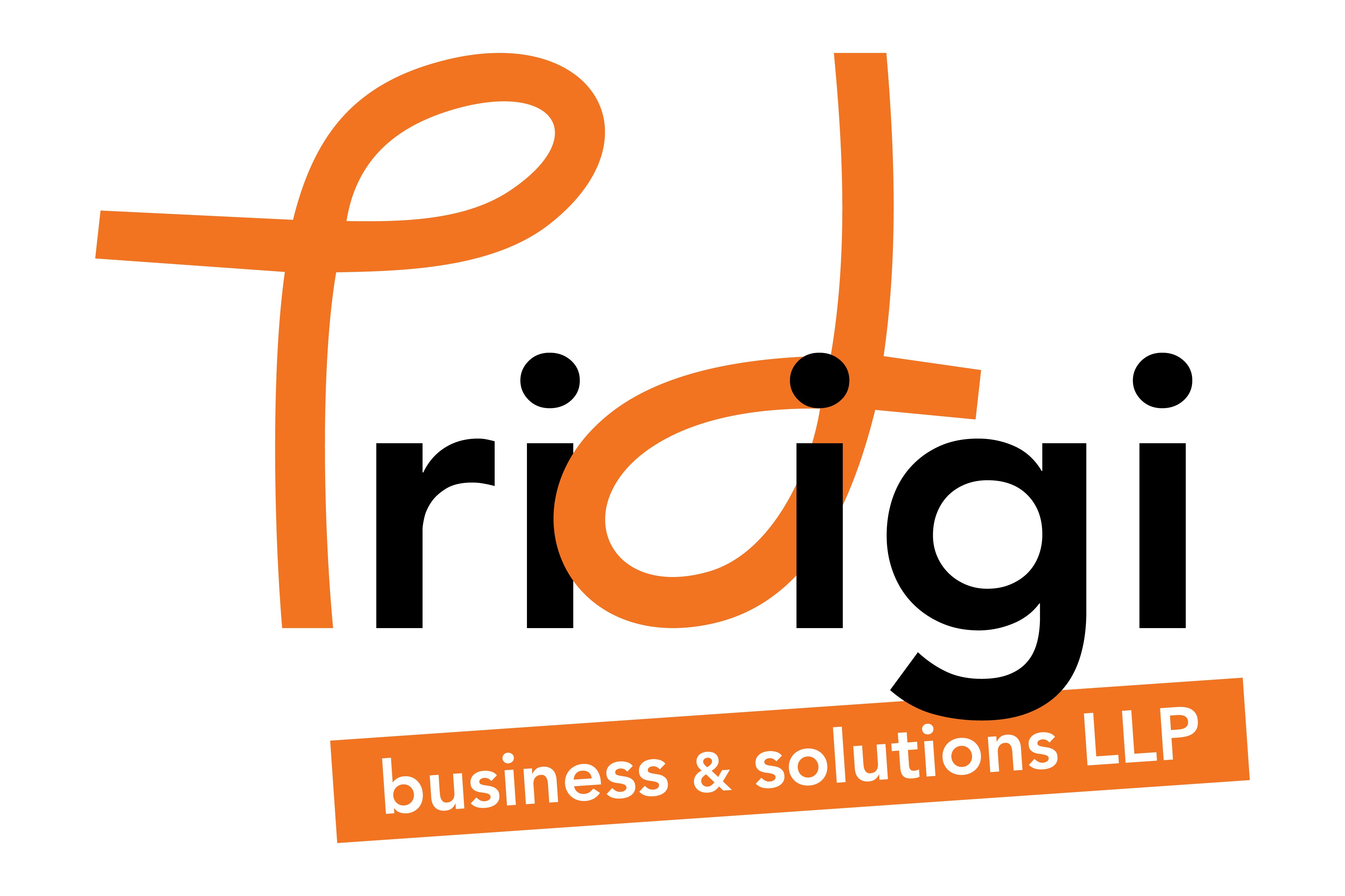 TriDigiBnS  Logo