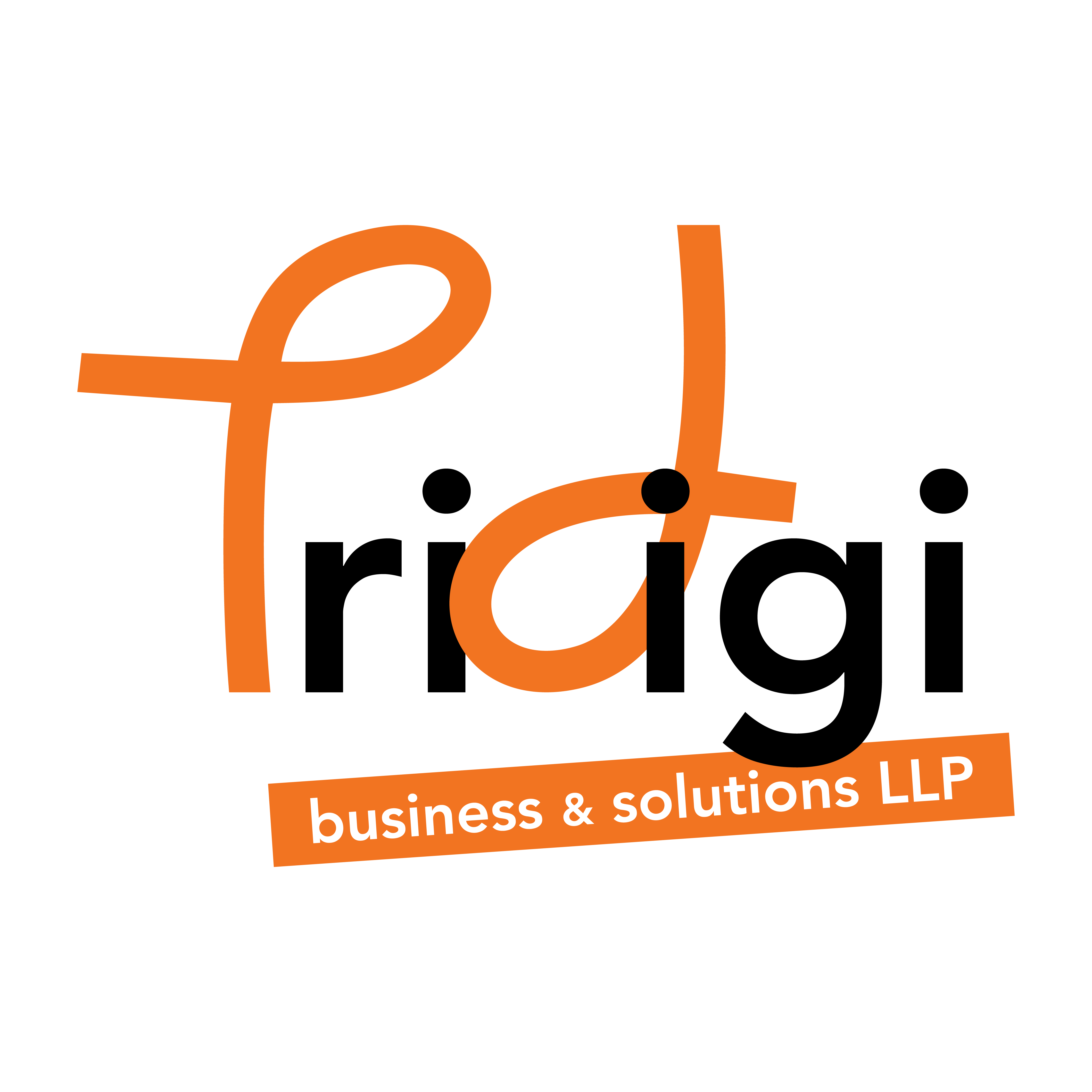 TriDigiBnS  Logo