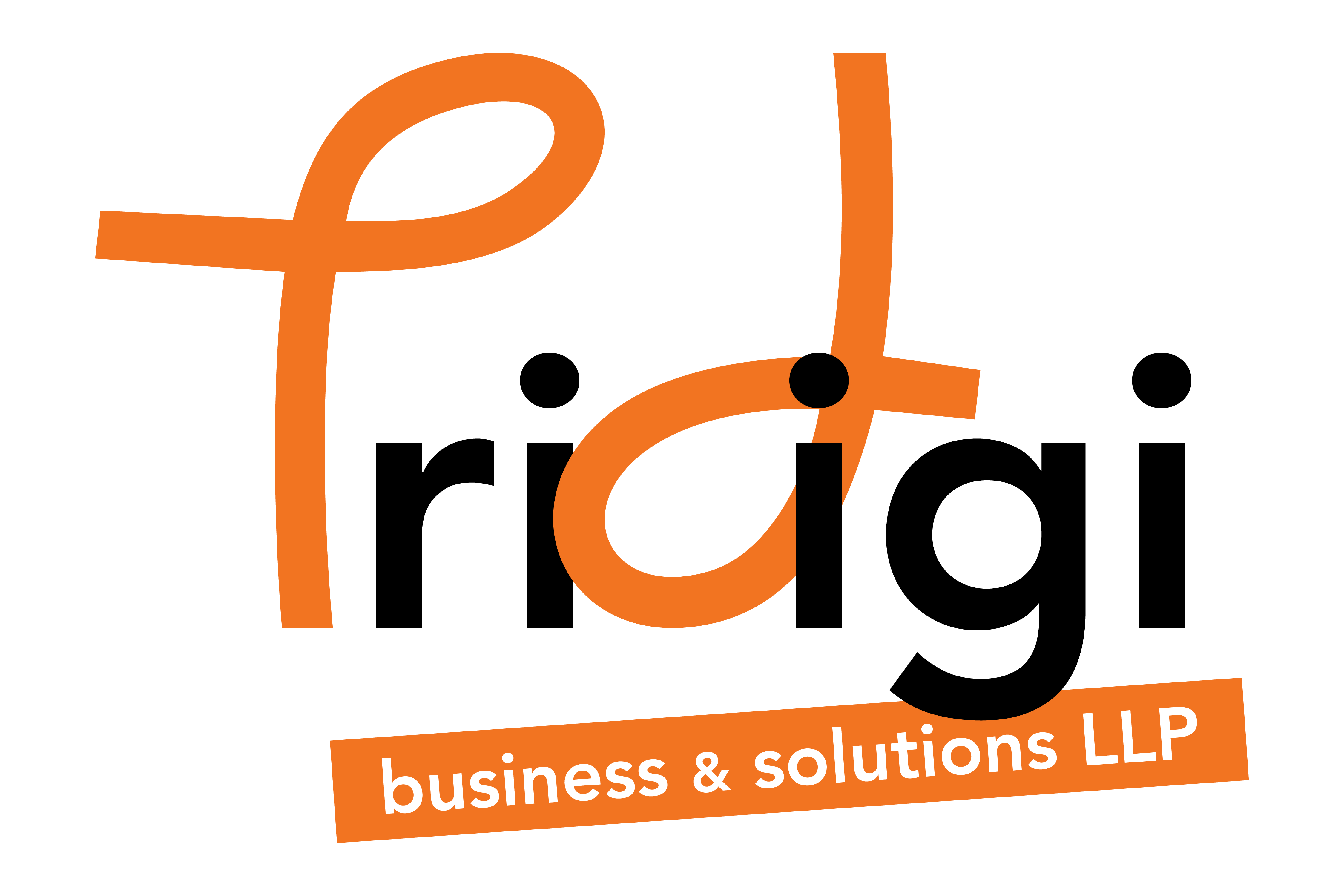 TriDigiBnS  Logo